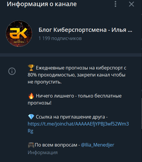 блог киберспортсмена информация о канале