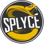 Каппер Splyce Bet