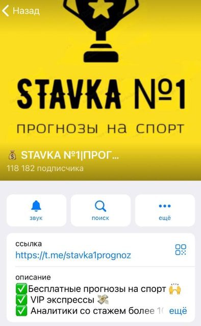 Телеграмм STAVKA №1 Иван Степкин