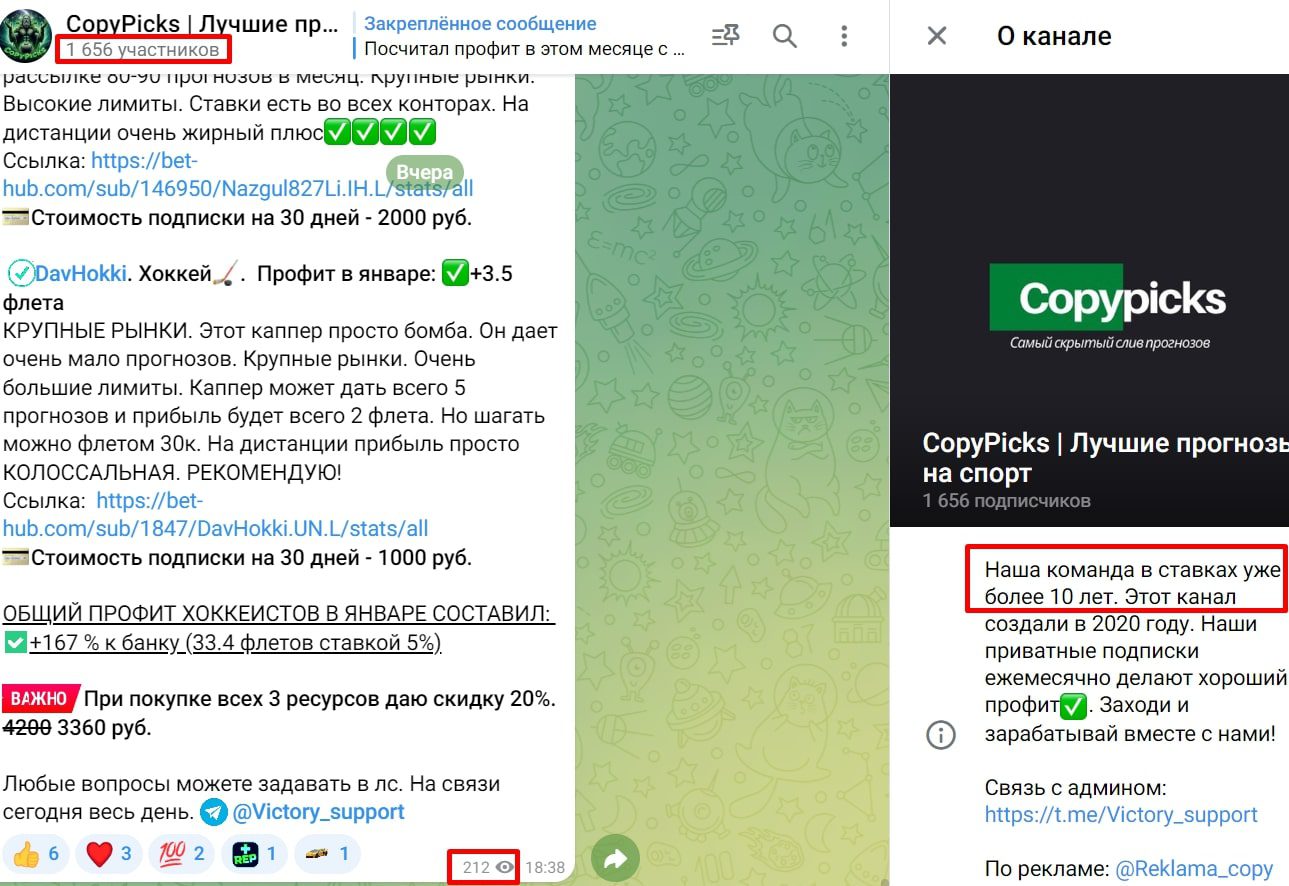 Copy picks телеграм