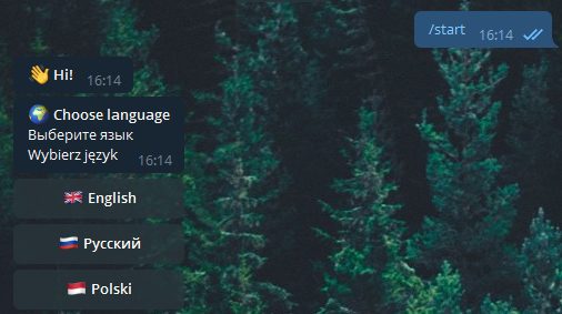 Parimatch Bot в Телеграмм - выбор языка