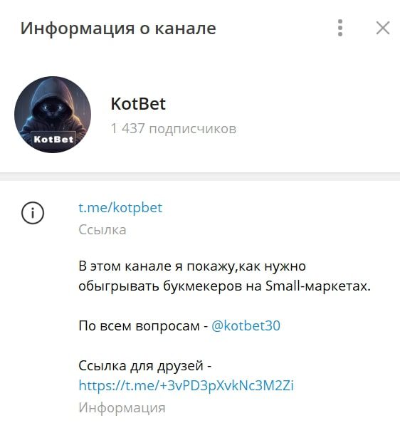 КотБет телеграм