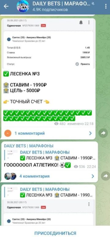 Отчет от каппера Daily Bets