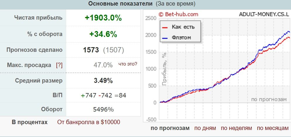 ADULT MONEY профиль статистика