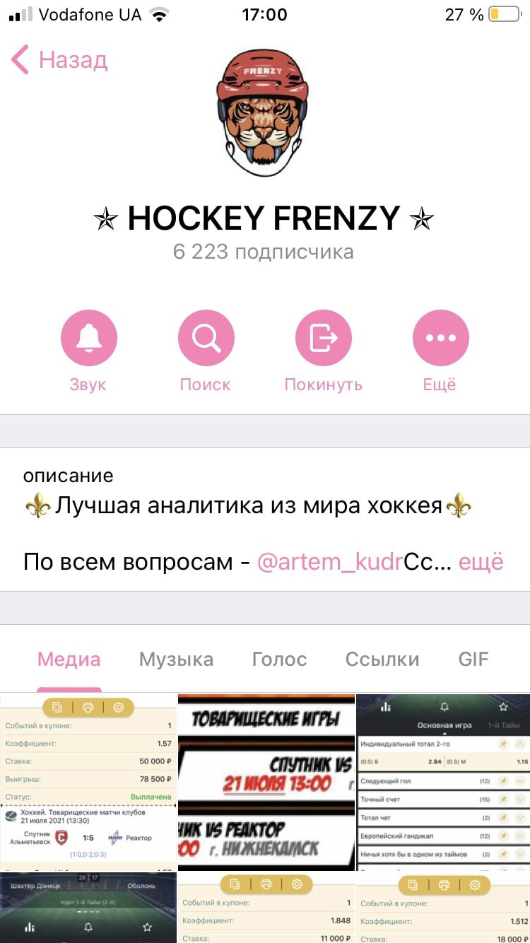 Hockey Frenzy - Телеграмм канал каппера Артема Кудрявцева