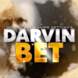 Darvin_bet