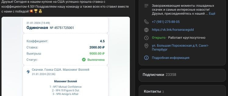 Horseracegold вк пост прогноз