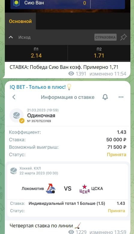 Проект IQ BET