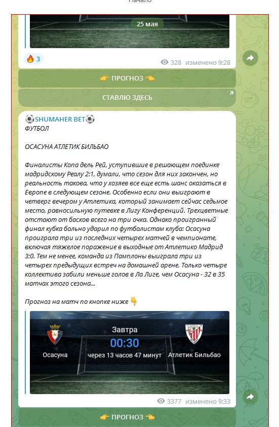 Проект Shumaher Bet