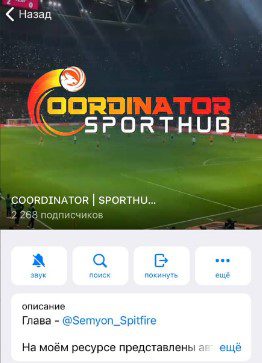 COORDINATOR | SPORTHUB телеграм