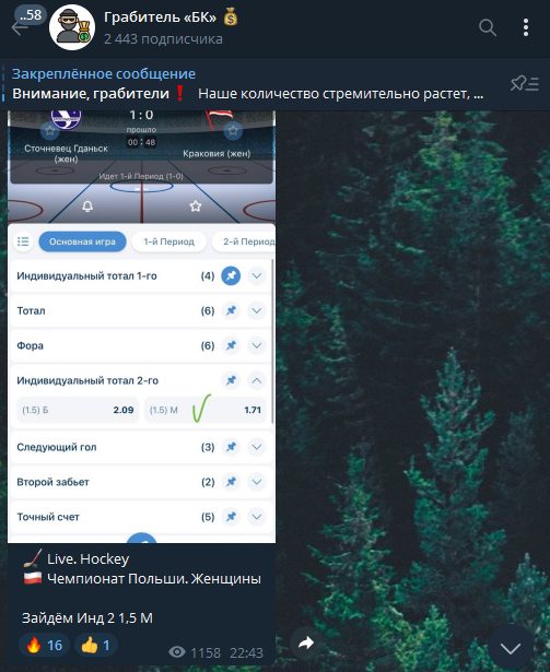 Ставки Грабитель БК в Телеграмме