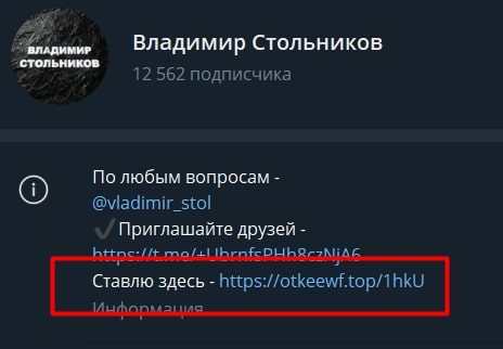 Владимир Стольников в телеграмме