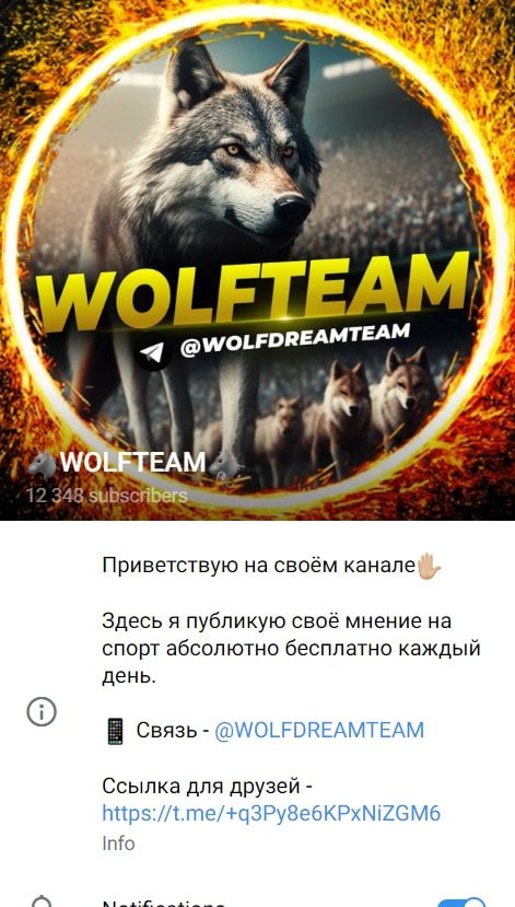 WOLFTEAM в Телеграме